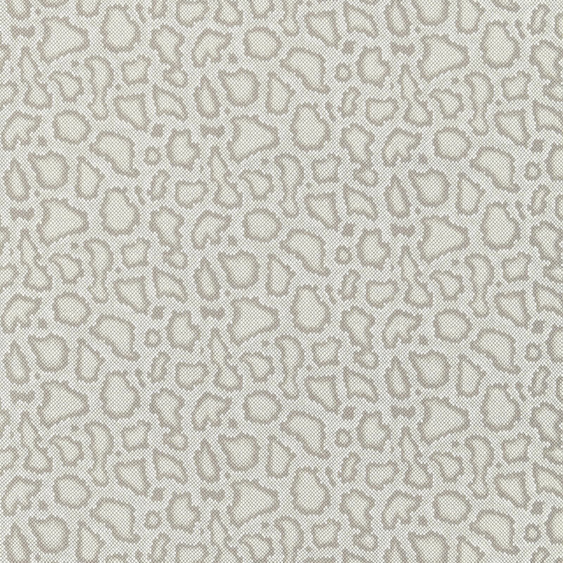 PARK AVENUE PITONE | COLOMBA