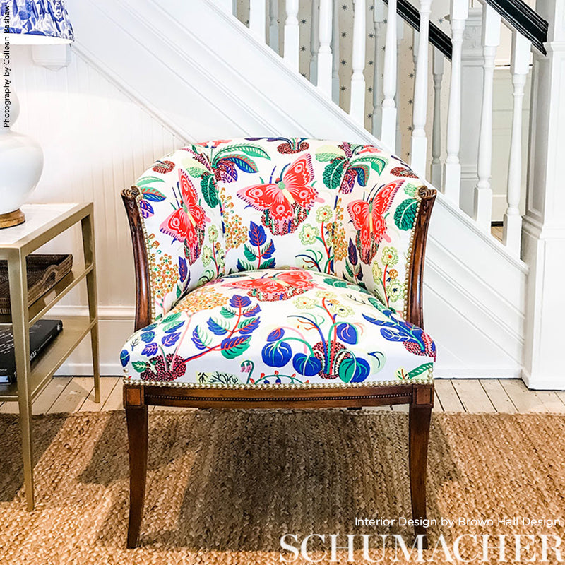 FARFALLA ESOTICA | PRIMAVERA