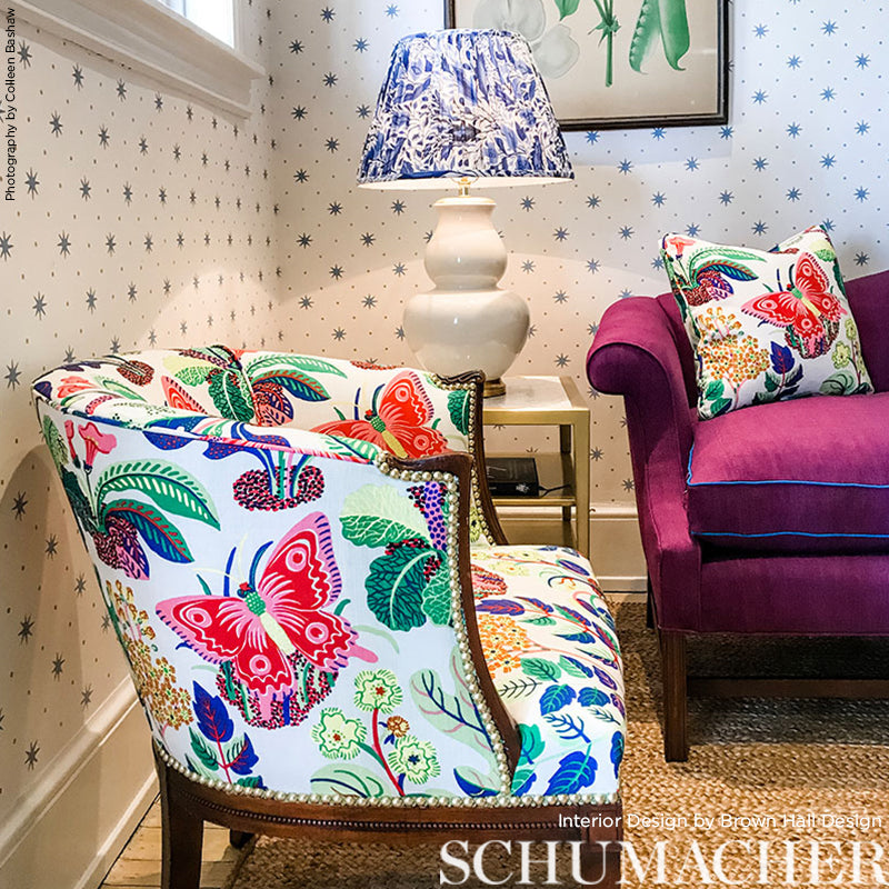 FARFALLA ESOTICA | PRIMAVERA