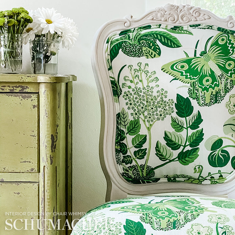 FARFALLA ESOTICA | FOGLIA