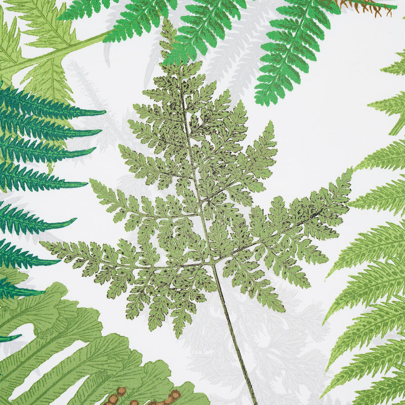 FERNARIO | VERDE E AVORIO