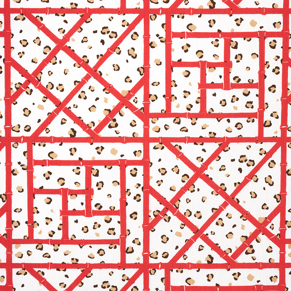 FANCY BEAST INTERNO/ESTERNO | GHEPARDO CORALLO