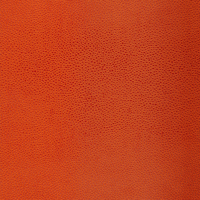 SHAGREEN | ARANCIO CINESE