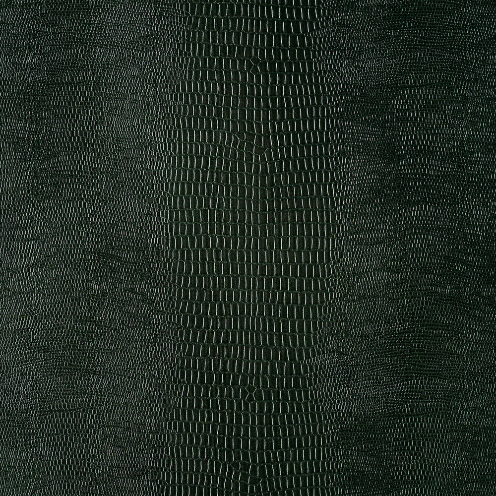 KOMODO | VERDE FORESTA