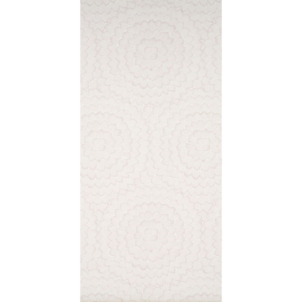 FIORITURA DI PIUME | NEUTRO MORBIDO