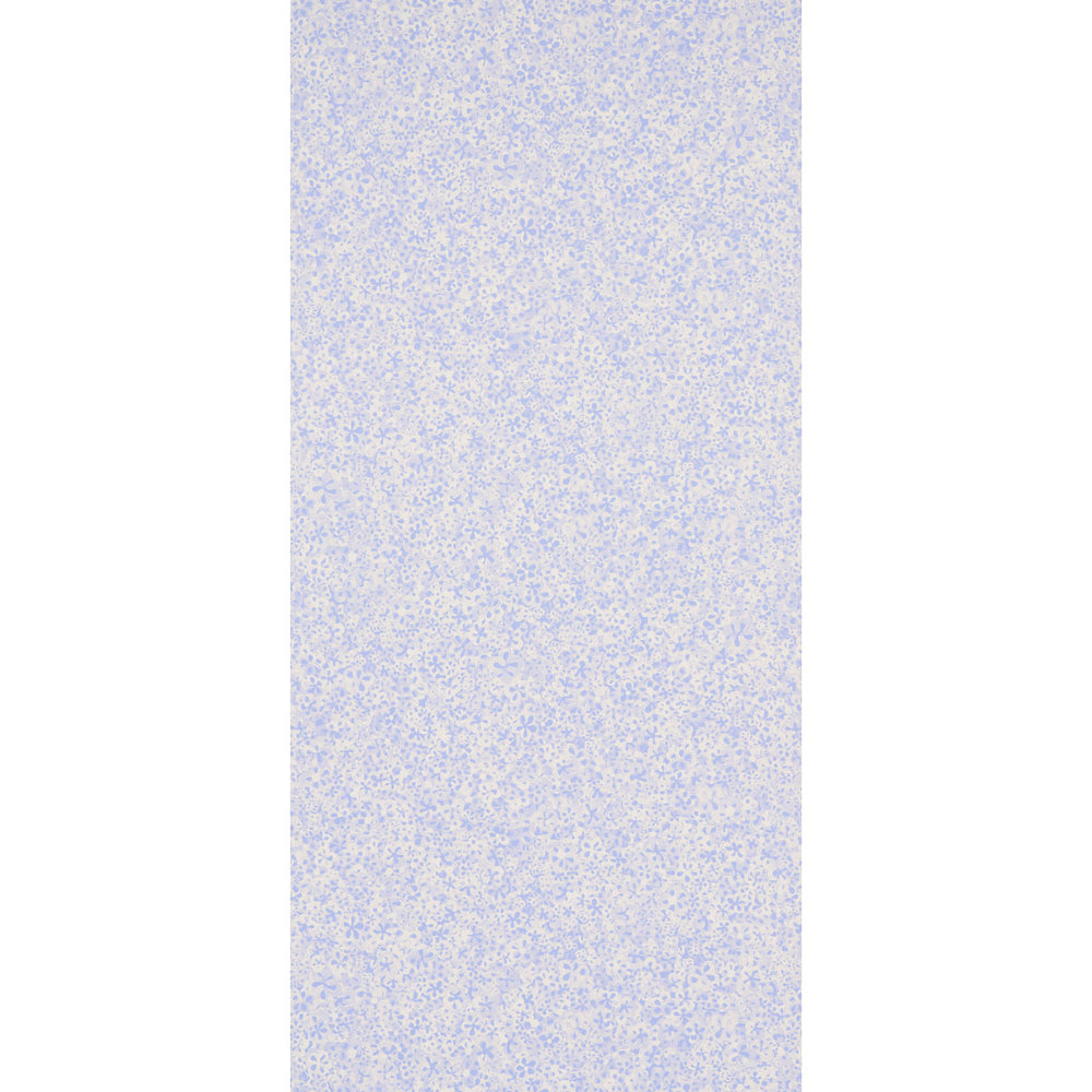 SUPERBLOOM | FIORDALISO