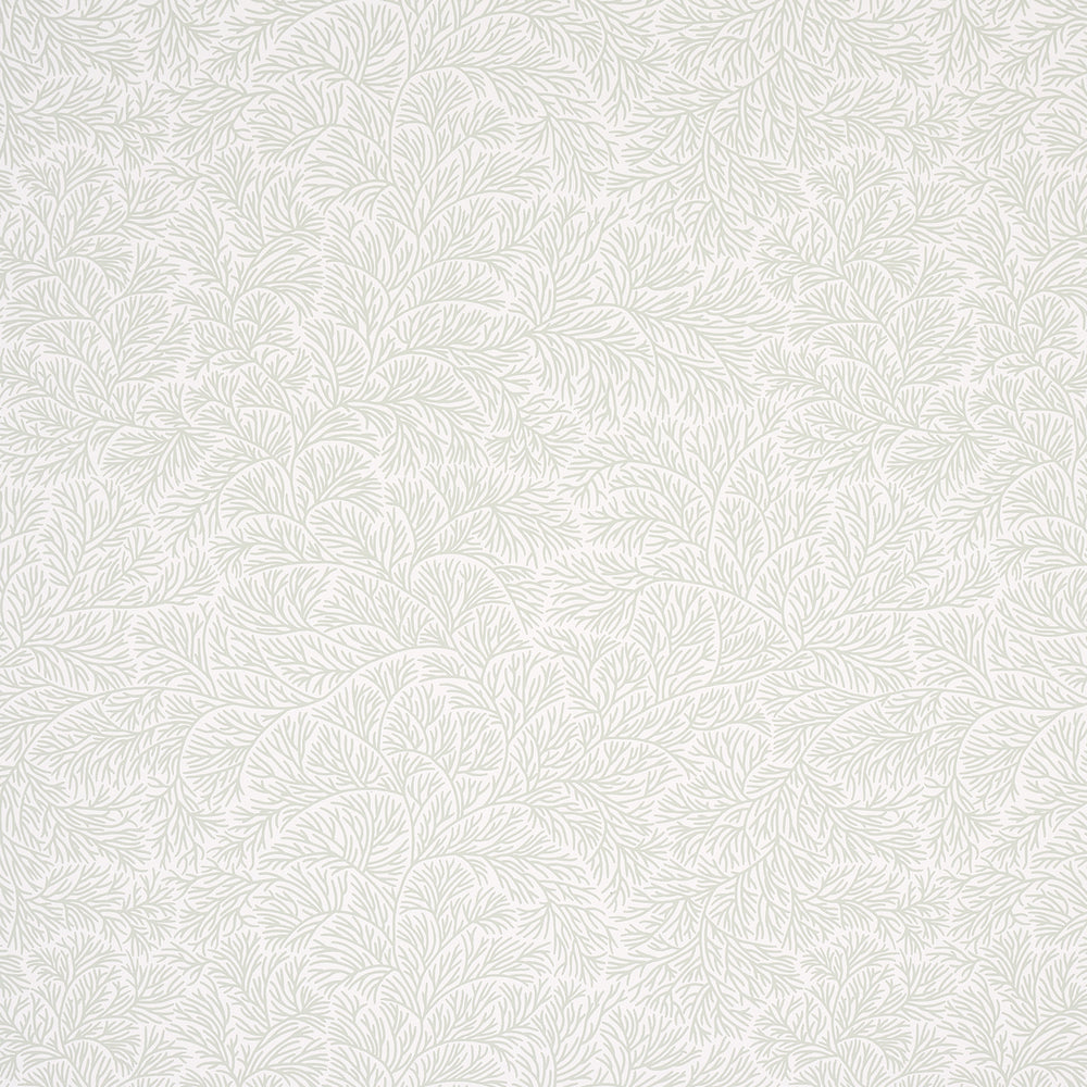 BOUGAINVILLEA | Leaf Green