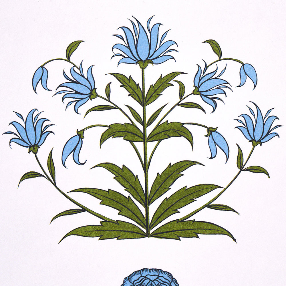 STRISCE DI PAPAVERO | BLU