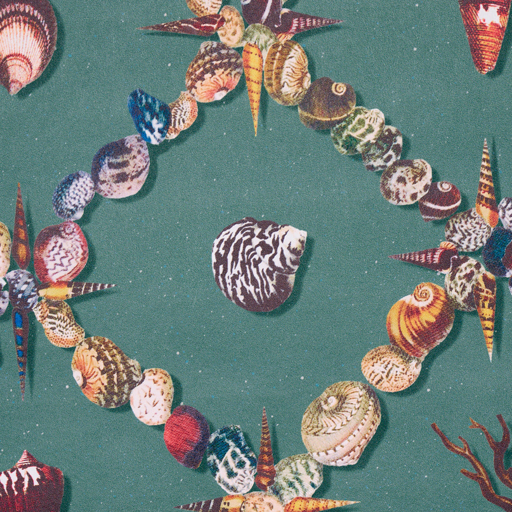 GROTTE TREILLAGE | MULTI SU QUADRANTE