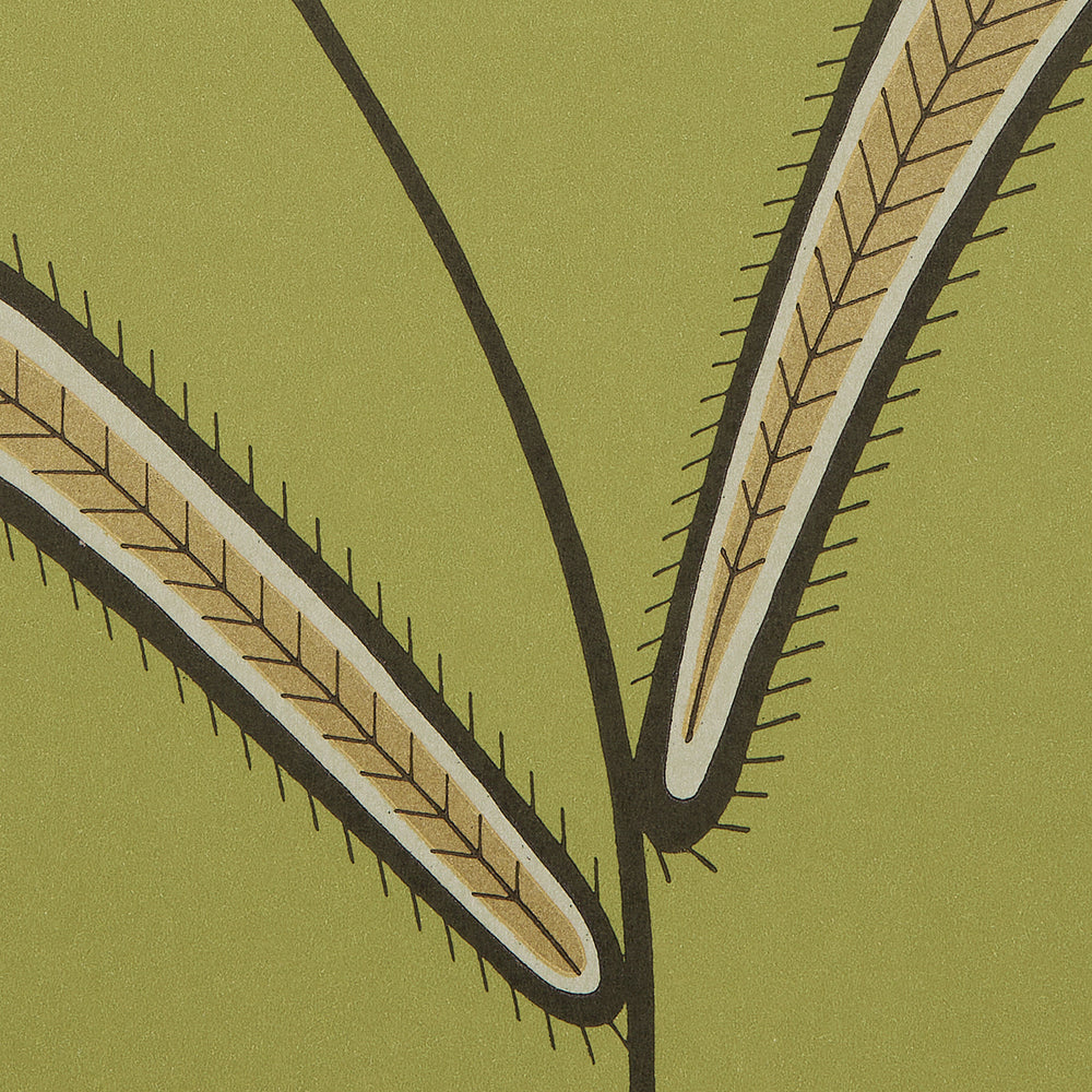 FOGLIA DI BRUCO | VERDE PRATO