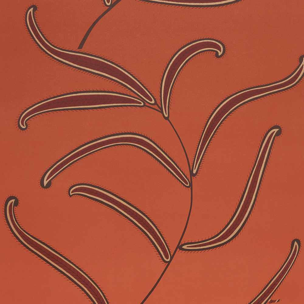 CATERPILLAR LEAF | Tomato