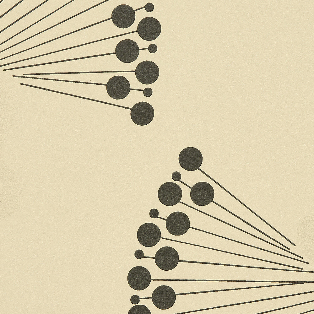 ANEMONE | NERO BIANCO