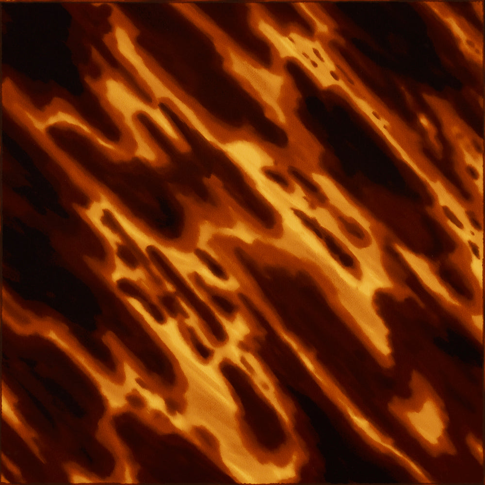 GUSCIO DI TARTARUGA | NATURALE