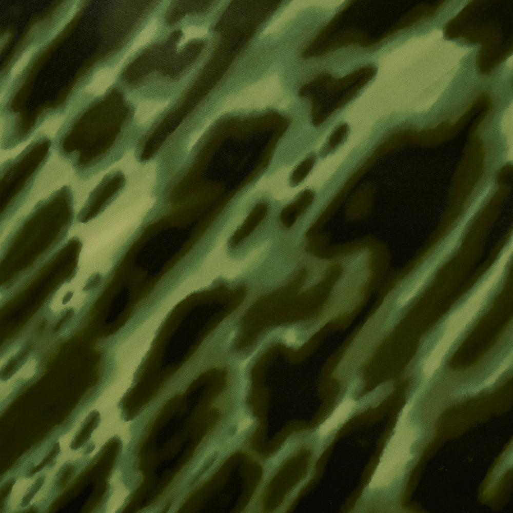 GUSCIO DI TARTARUGA | AMAZZONIA