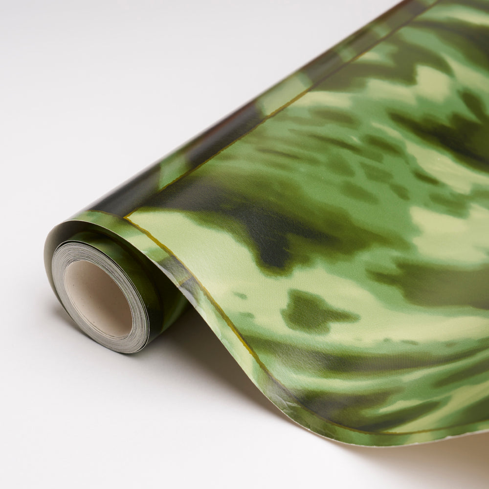 GUSCIO DI TARTARUGA | AMAZZONIA