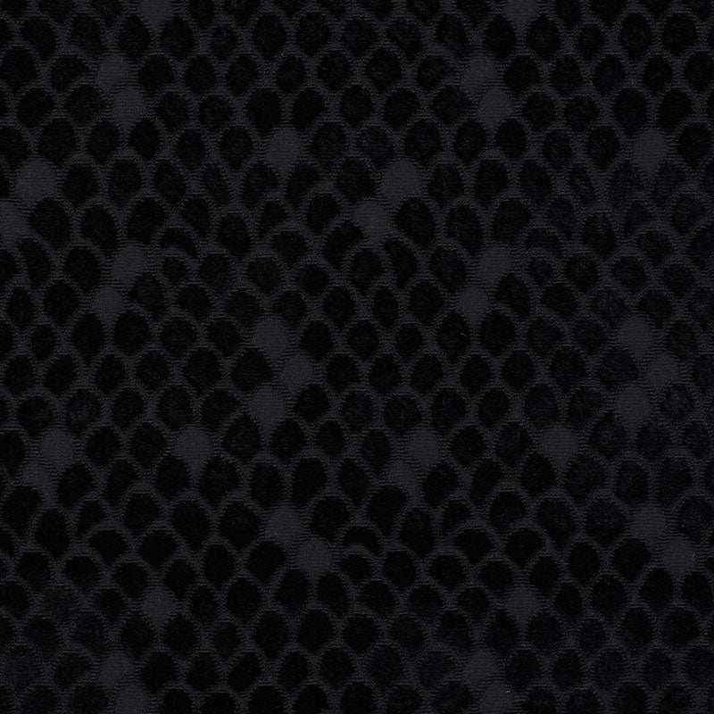 ESTHER VELLUTO | ONICE