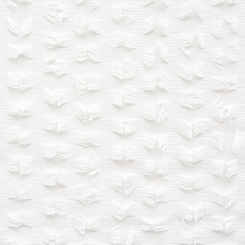 FRANGIA MONTEGO | NEVICARE