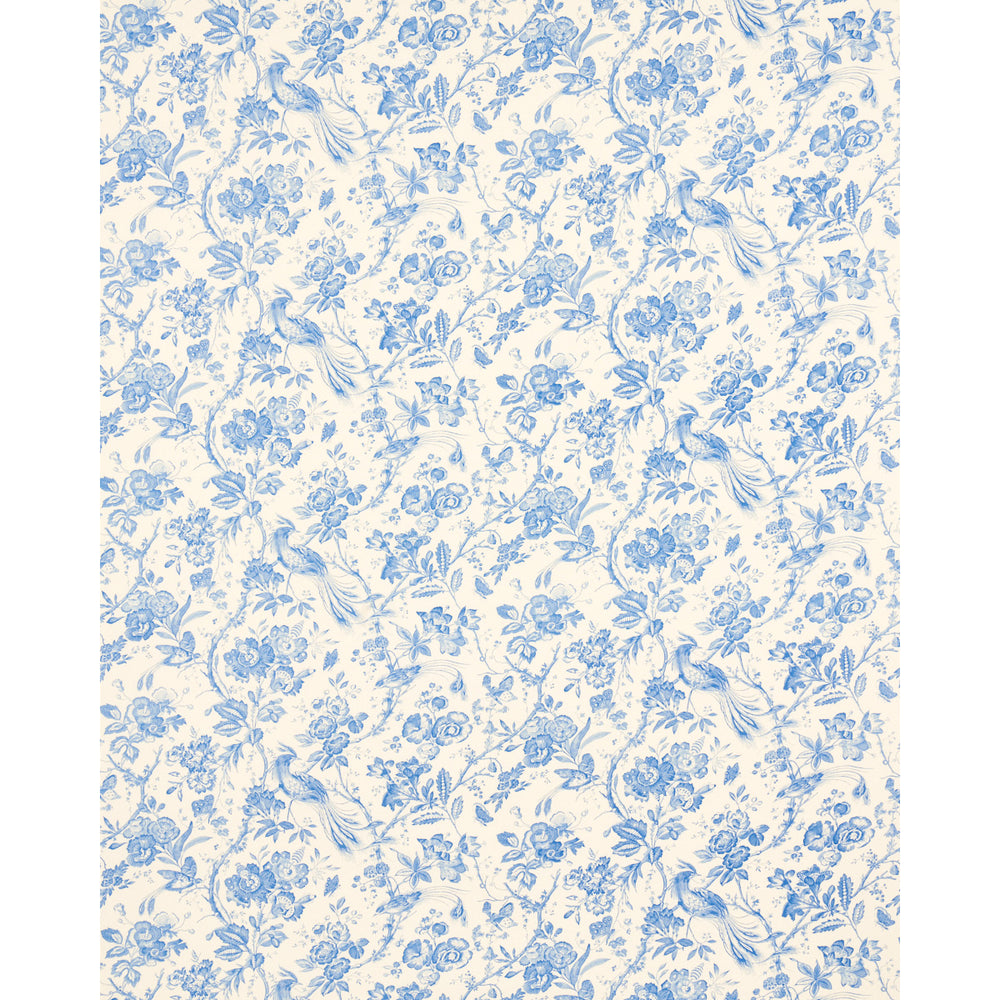 BIRDS OF PARADISE | Blue