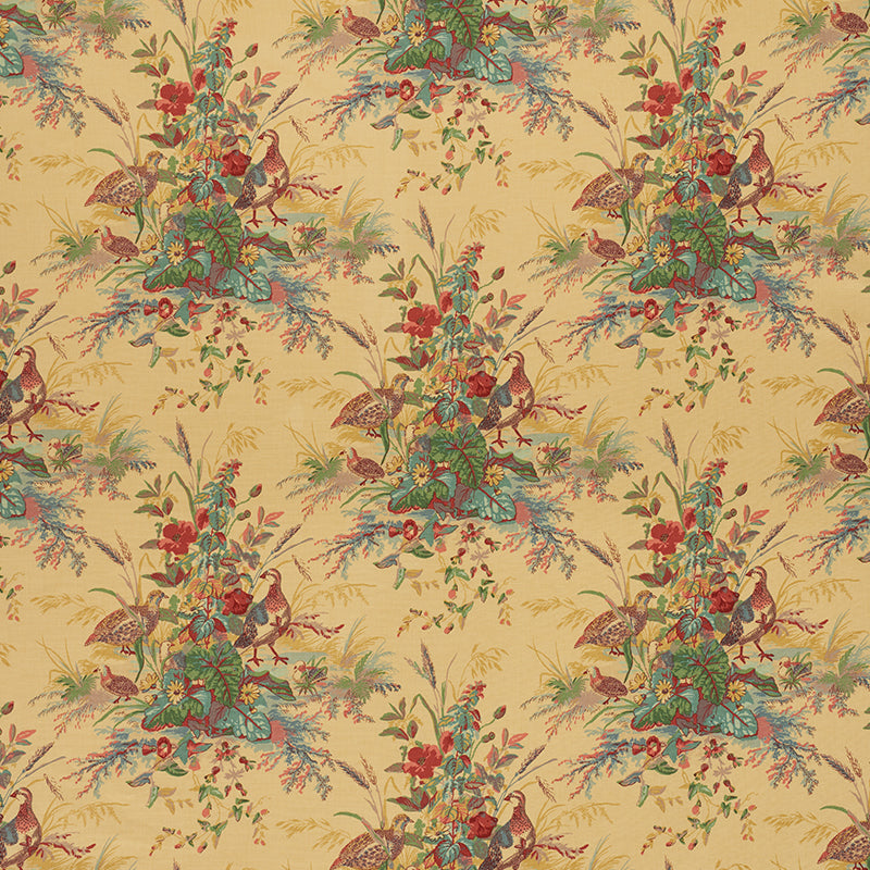 QUAIL MEADOW | Spring