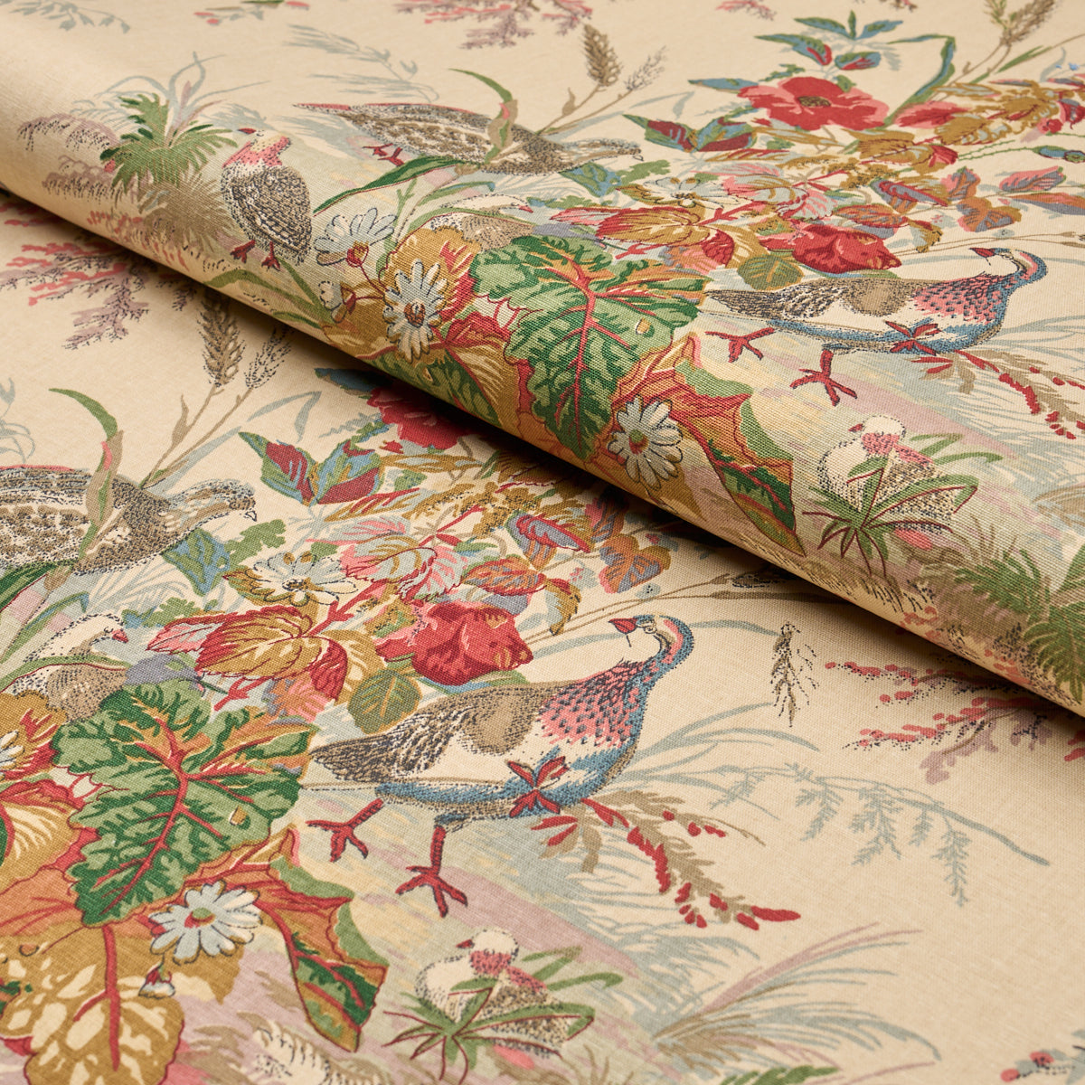 PRATO DI QUAGLIA | ESTATE