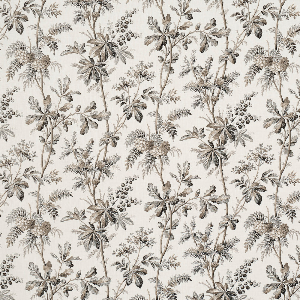 BRANTWOOD VINE | Graphite