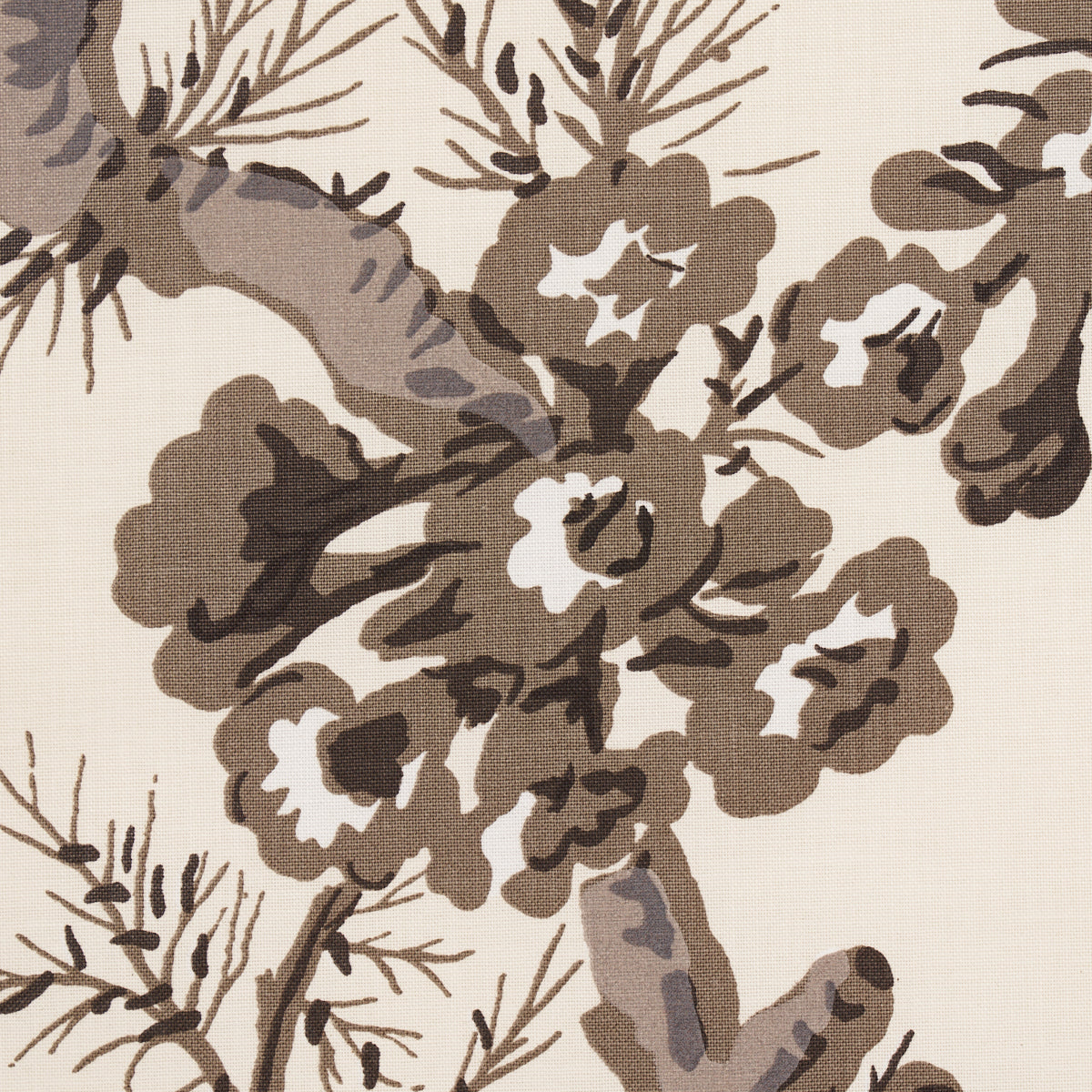PYNE MALVAROSA | CARBONE