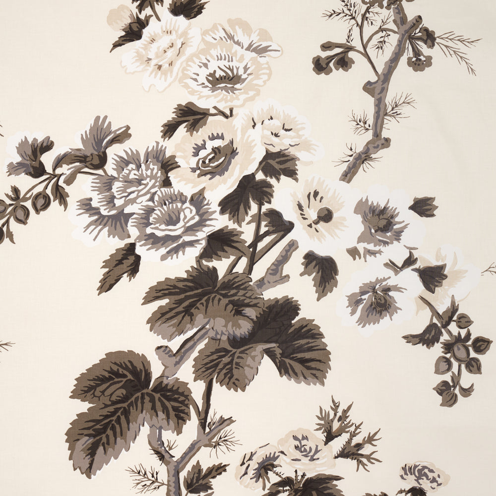 PYNE MALVAROSA | CARBONE