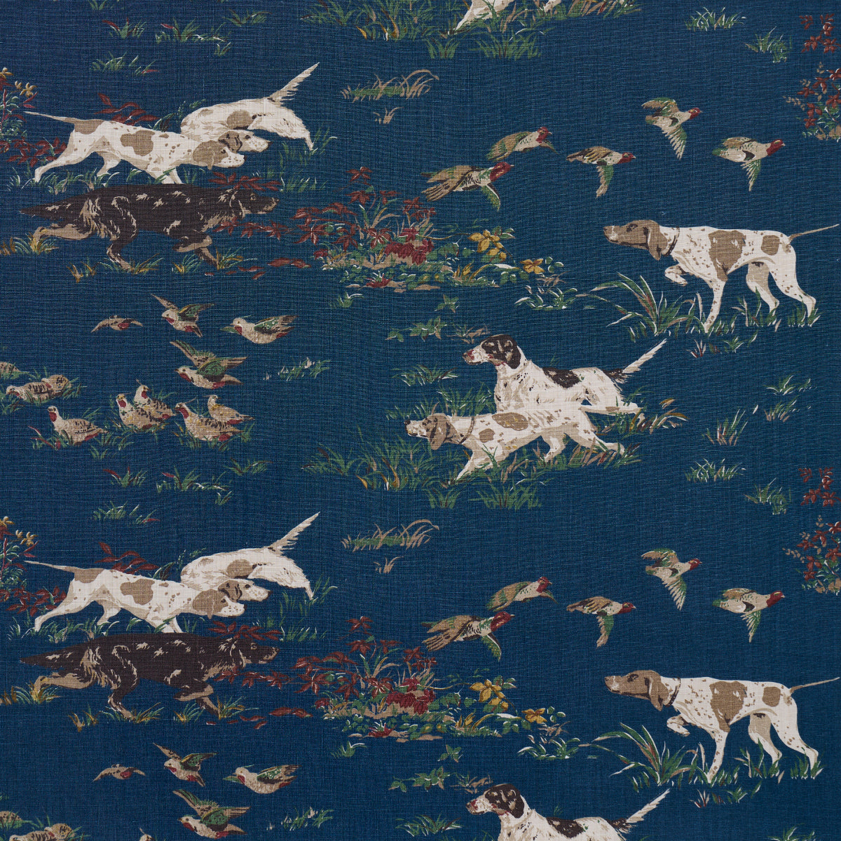 POINTERS | Indigo