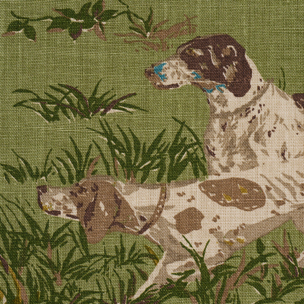 POINTERS | Meadow