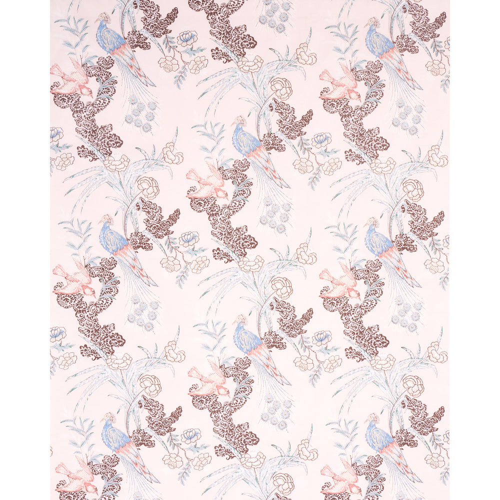 PEACOCK | Blush