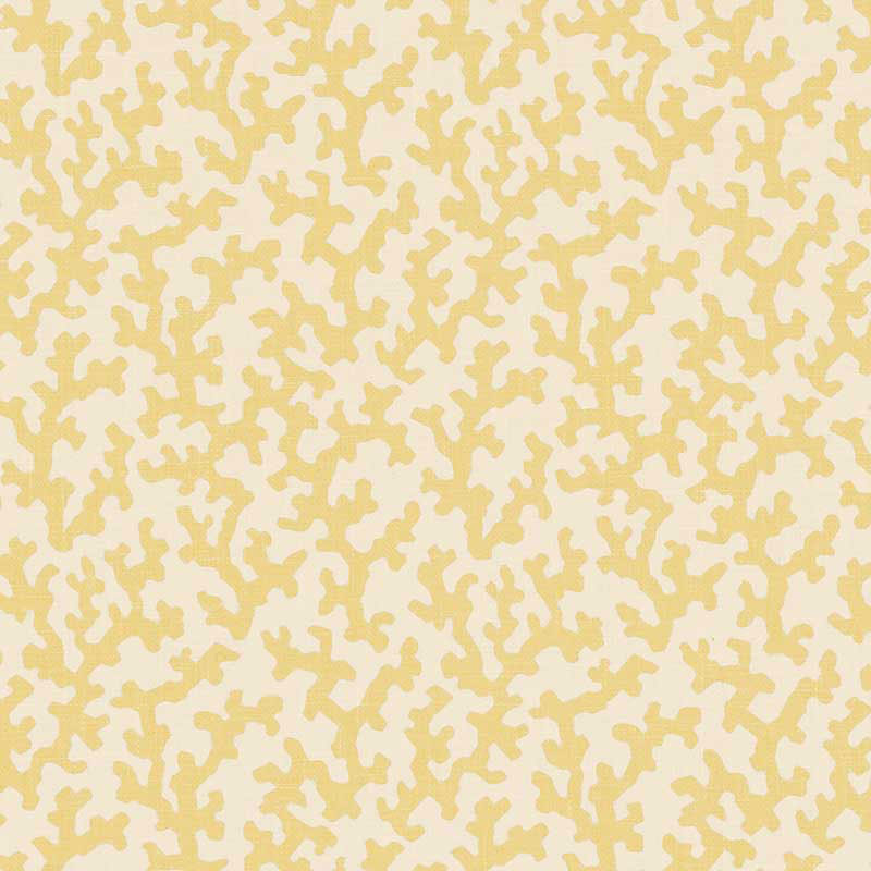 FOLLY | Straw