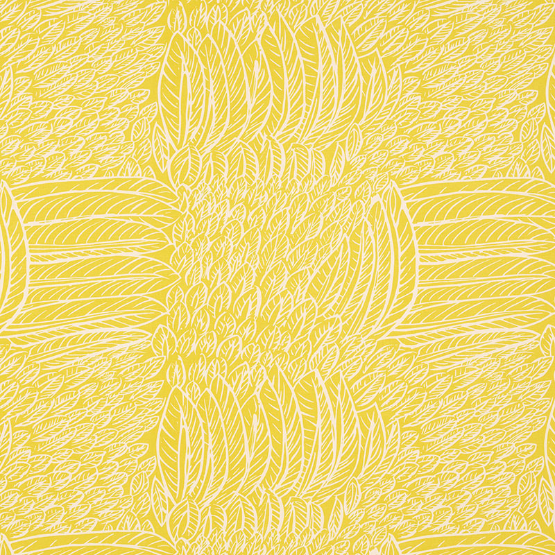 FEATHERFEST | Citron