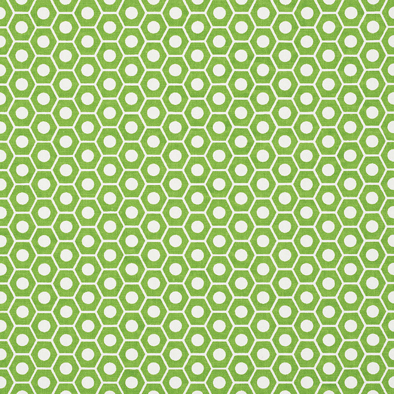 REGINA B | VERDE