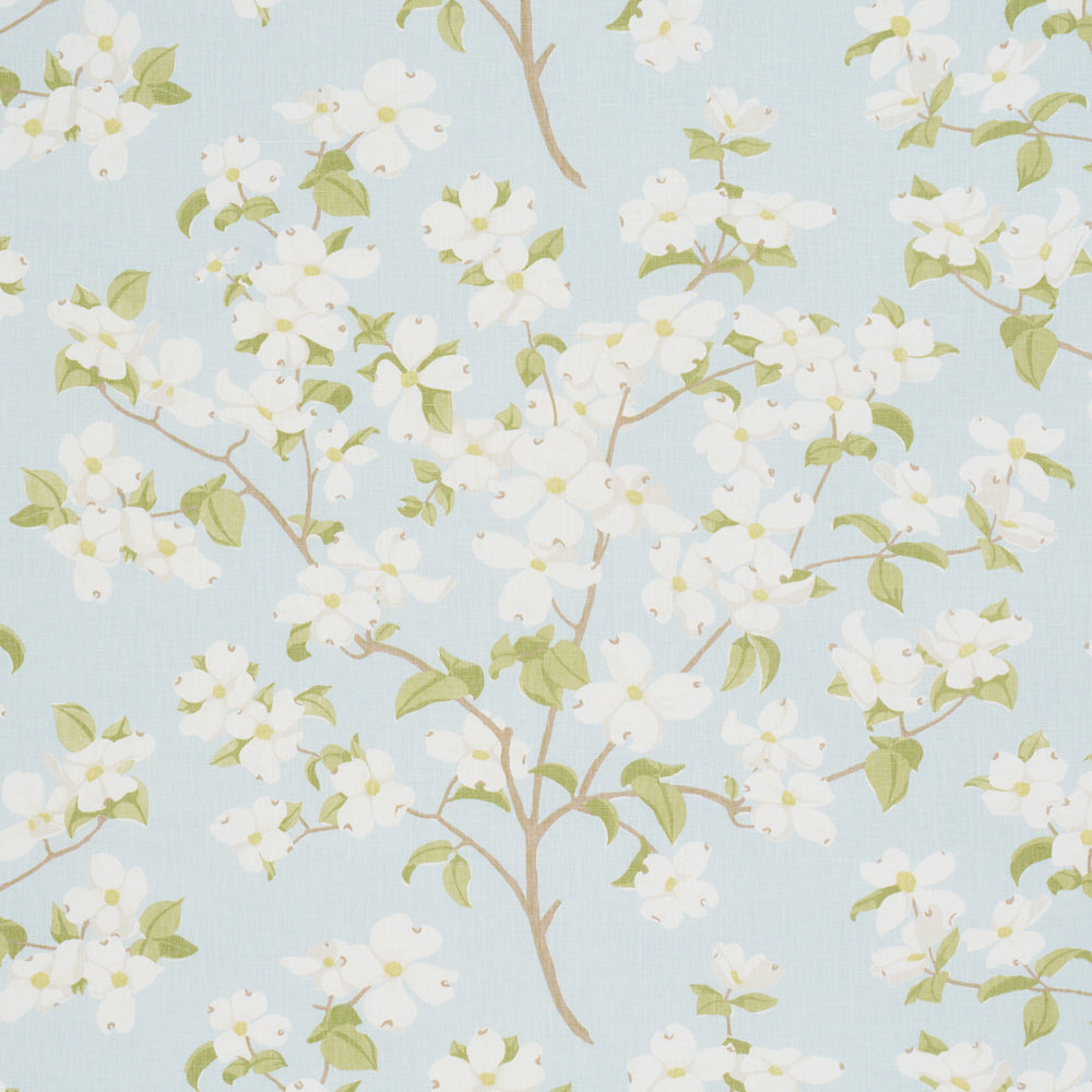 BLOOMING BRANCH | Sky