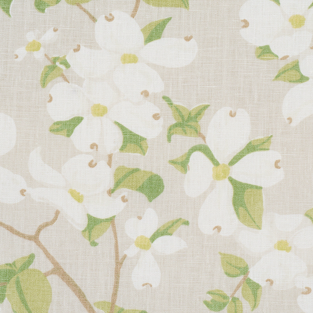 BLOOMING BRANCH | Dove