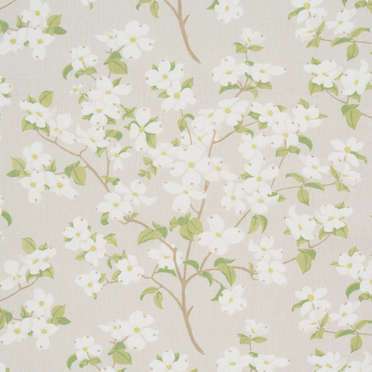 BLOOMING BRANCH | Dove