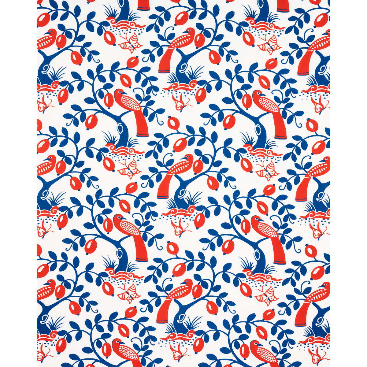 OLIVO | BLU ROSSO