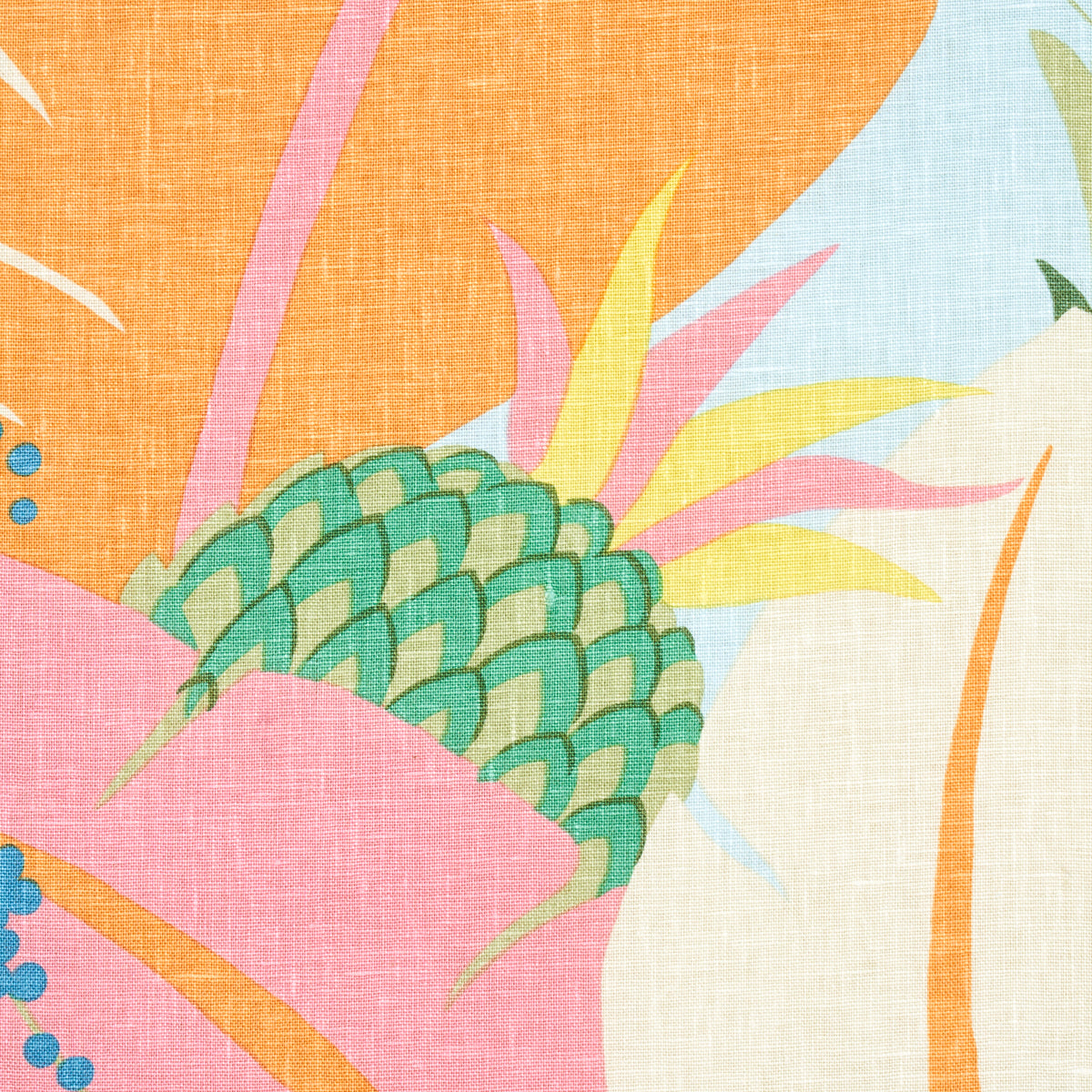 ANANAS | TROPICALE