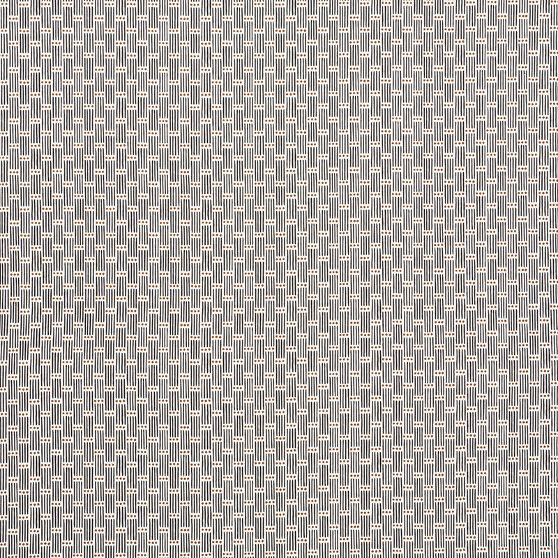 STRISCIA PUNTEGGIATA | CARBONIO