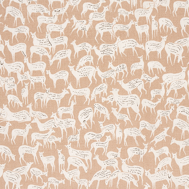 FAUNA | CERVO
