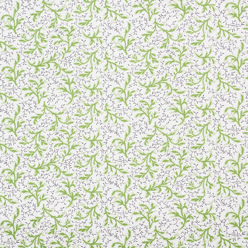 SPRIG | Moss