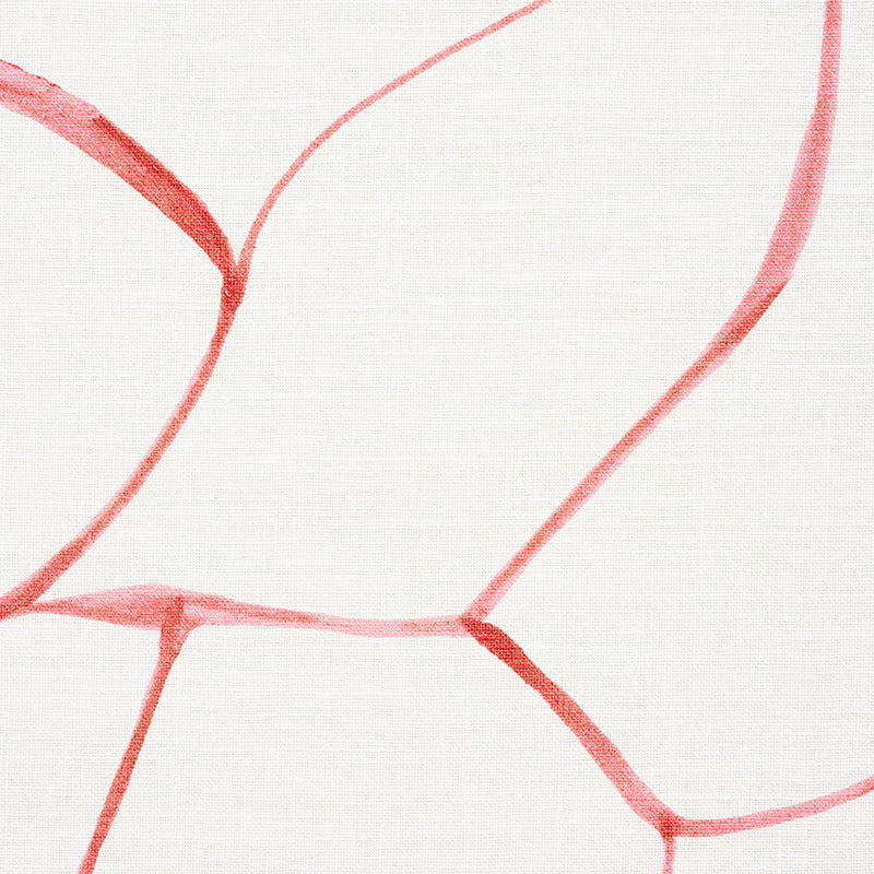 FILIGRANA | CORALLO