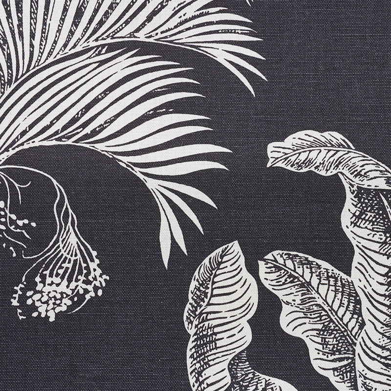 GRANDI PALME | CARBONIO