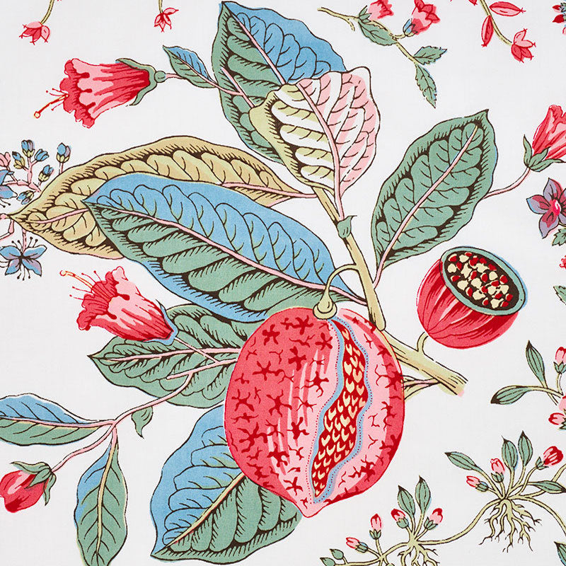 POMEGRANATE BOTANICAL | Document