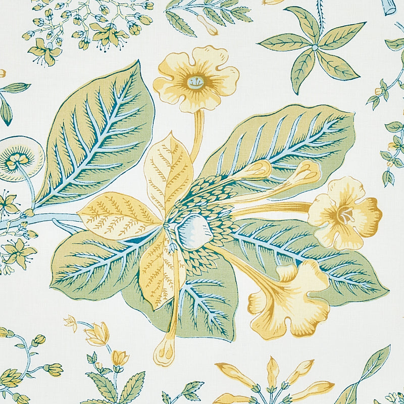 BOTANICA DEL MELOGRANO | CEDRO