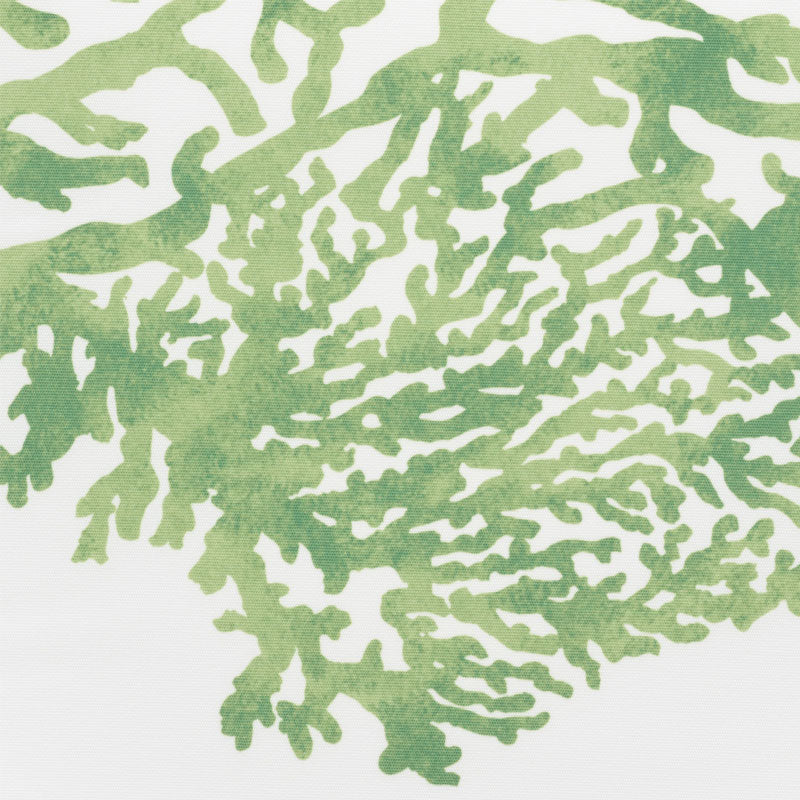 GRANDE BARRIERA CORALLINA II | VERDE