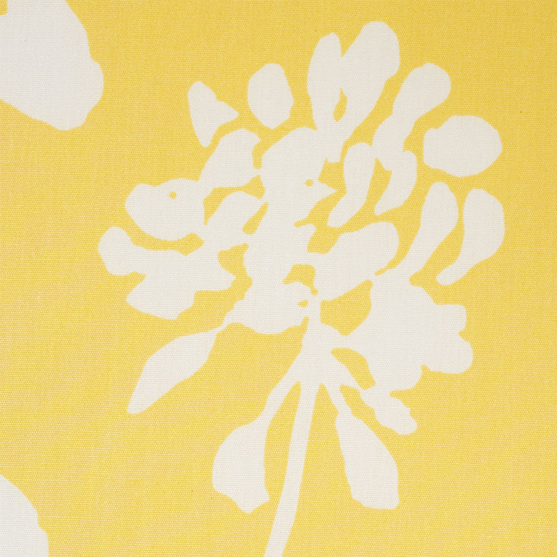 PENNICK CINTZ | GIALLO