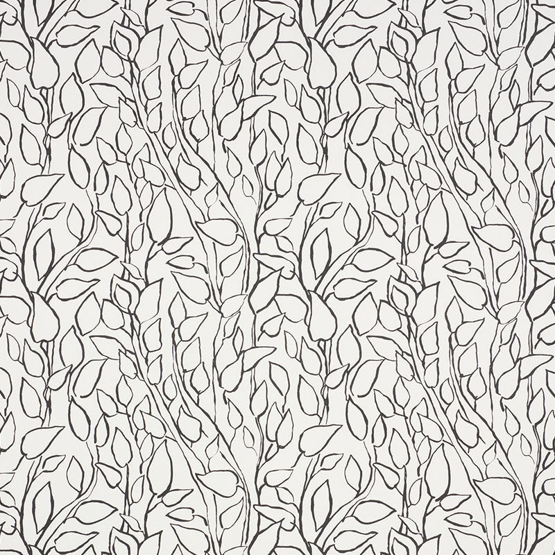 SOLANDRA VINE | Black