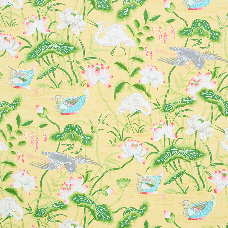 GIARDINO DEL LOTO | GIALLO