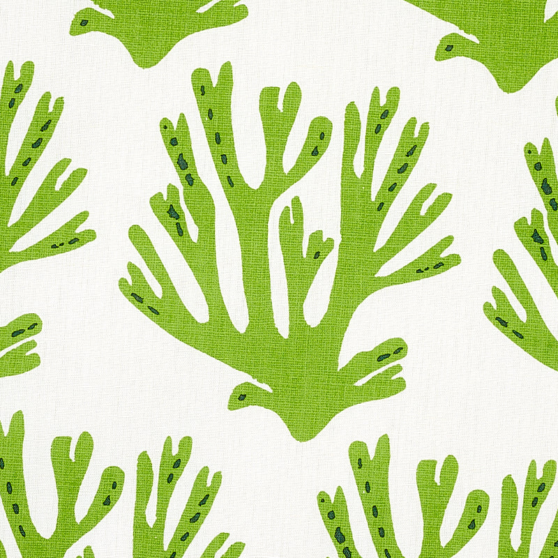 CORAL | Green